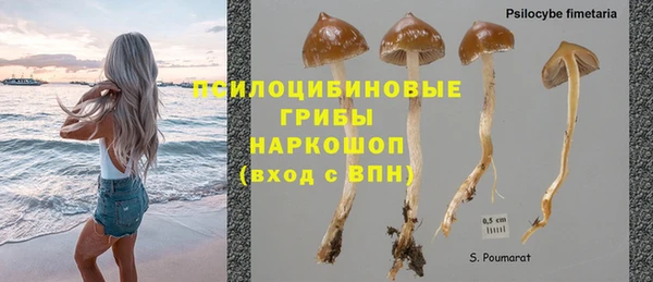 2c-b Алексин