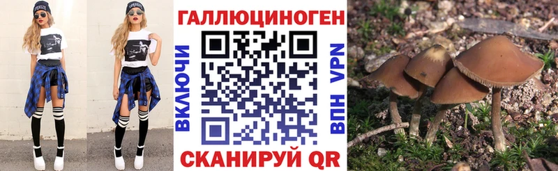 Псилоцибиновые грибы мицелий  что такое наркотик  Чусовой 
