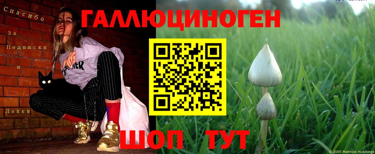 Псилоцибиновые грибы Magic Shrooms Чусовой